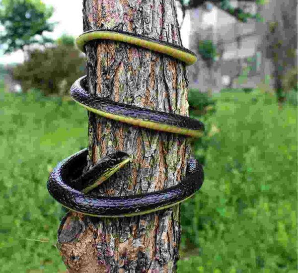fake snake toy