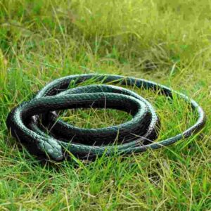 snake prank toys