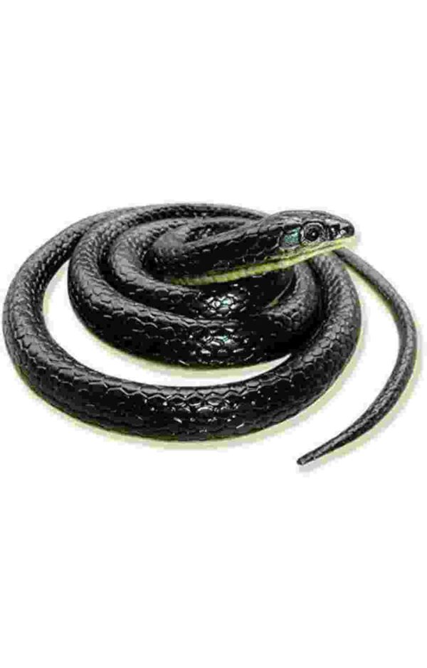 Fake Snake Toy